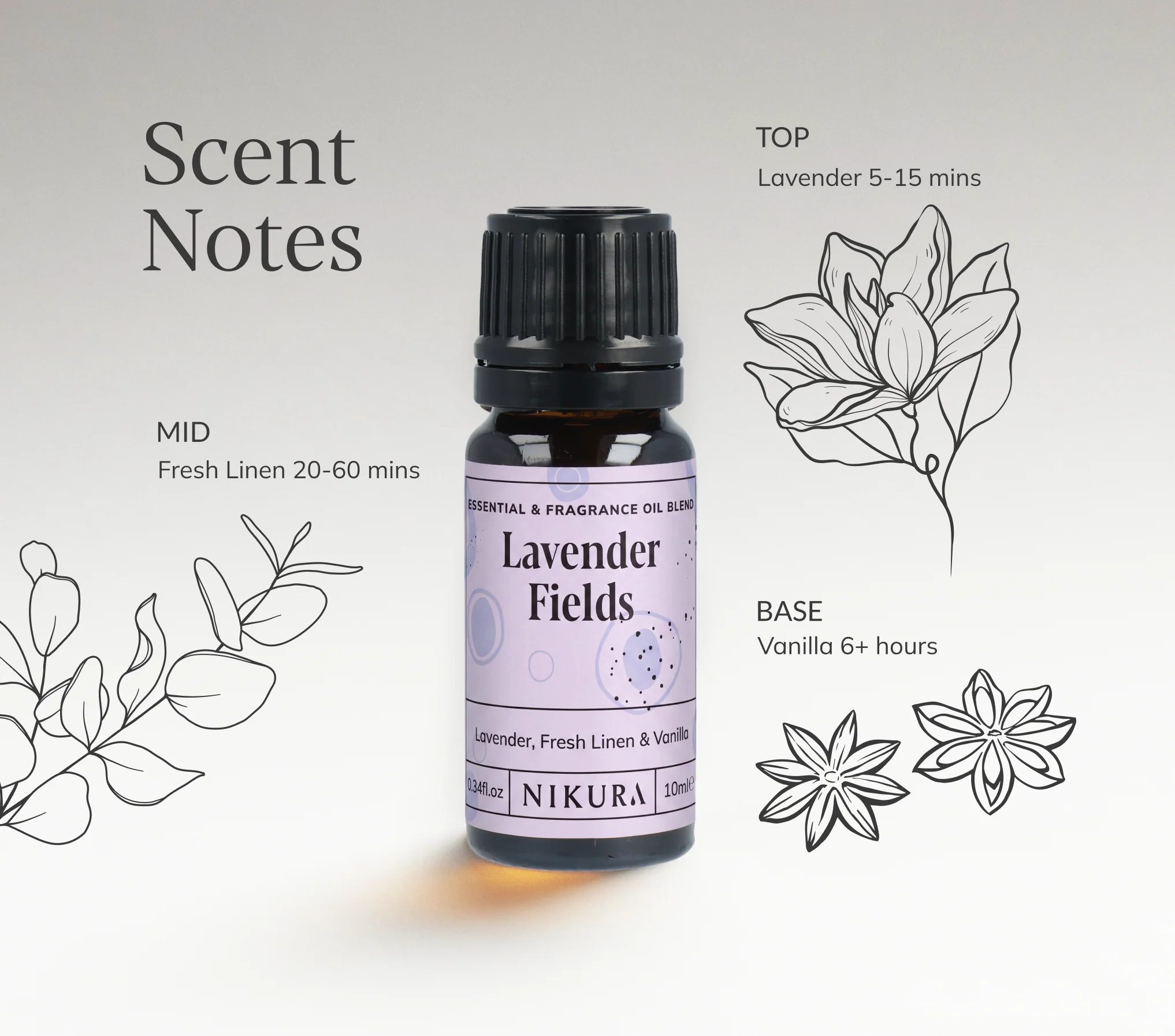 Lavender Fields Essential & Fragrance Oil Blend - Image 3