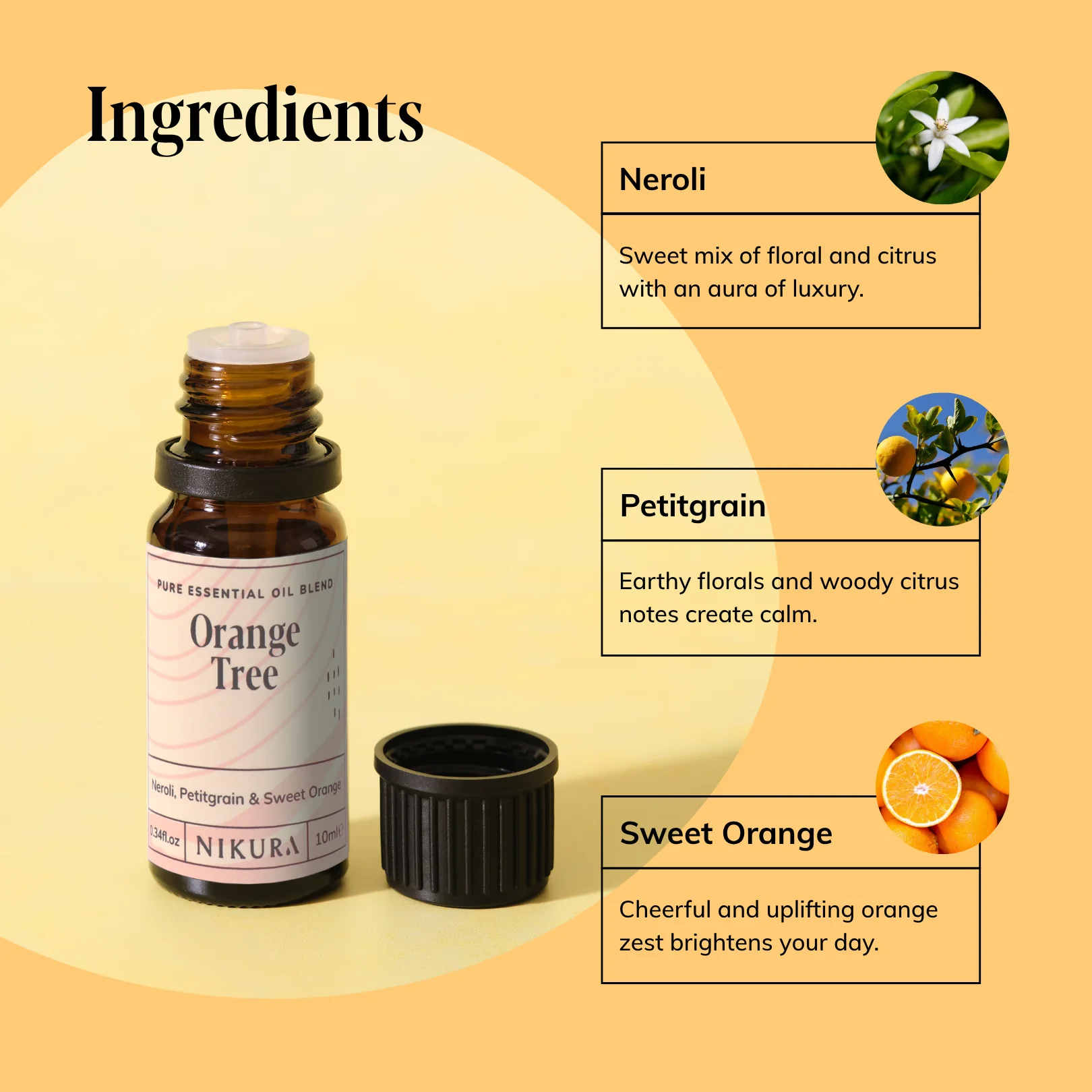 Orange Tree Essential Oil Blend - Image 3