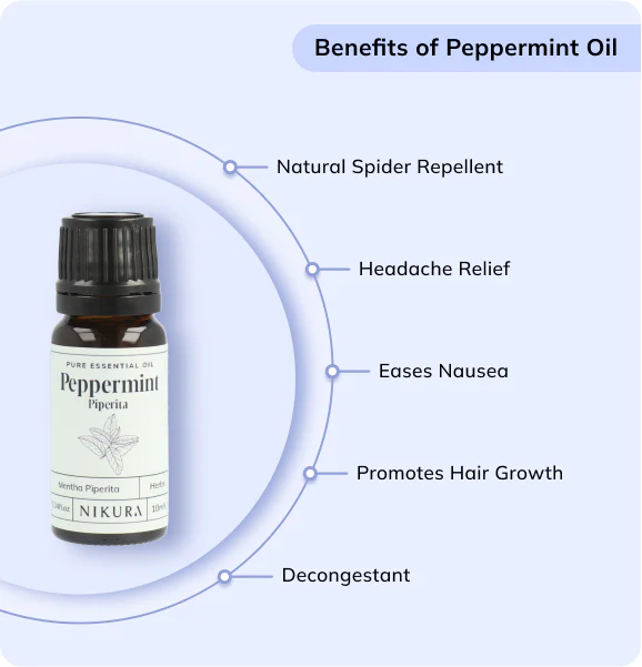 Peppermint Essential Oil (Piperita) - Image 2