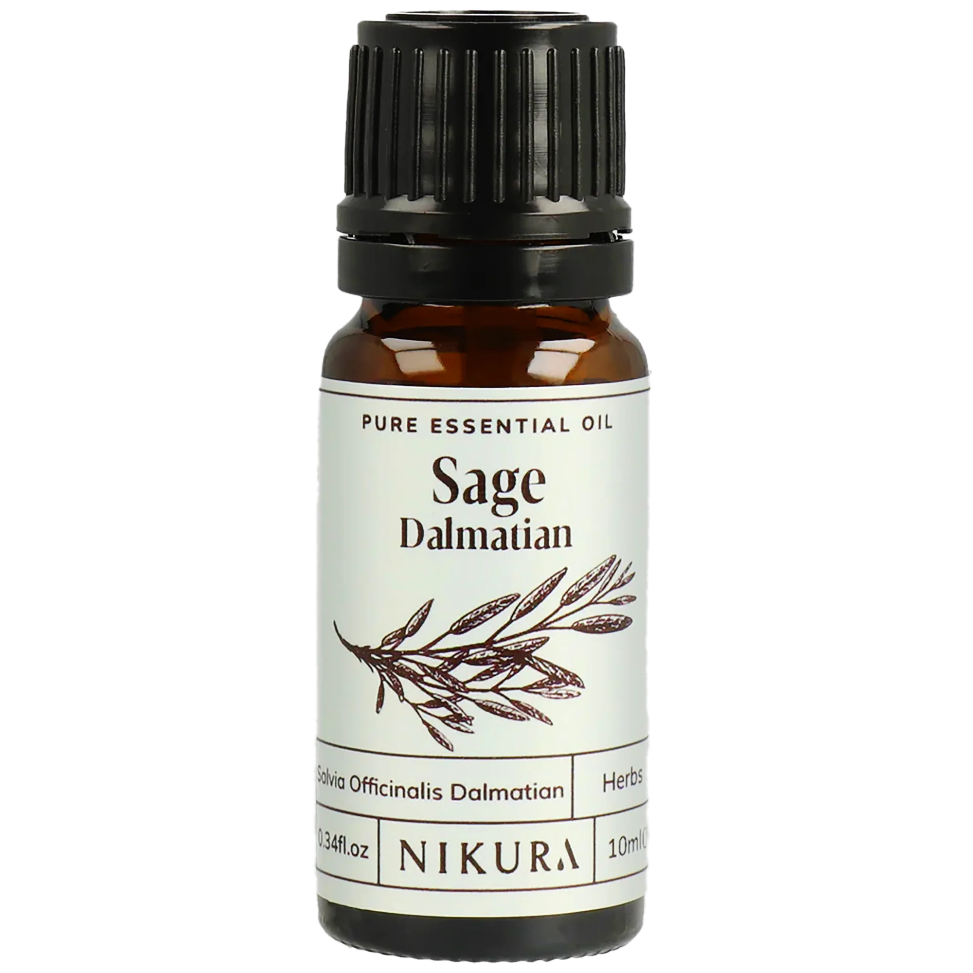 Sage Dalmatian Essential Oil
